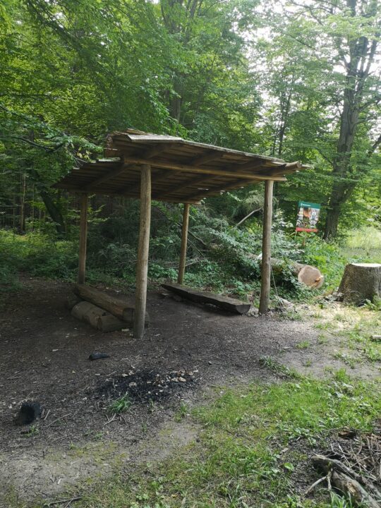 Kalwaria Pacławska - drogowskaz
