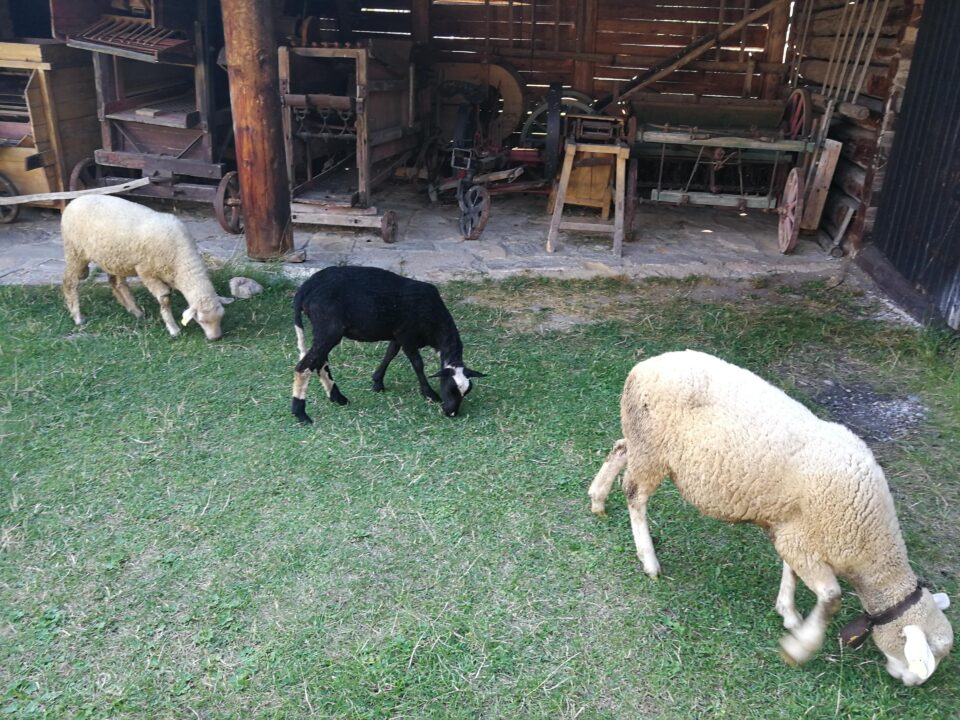 Skansen w Pribylinie
