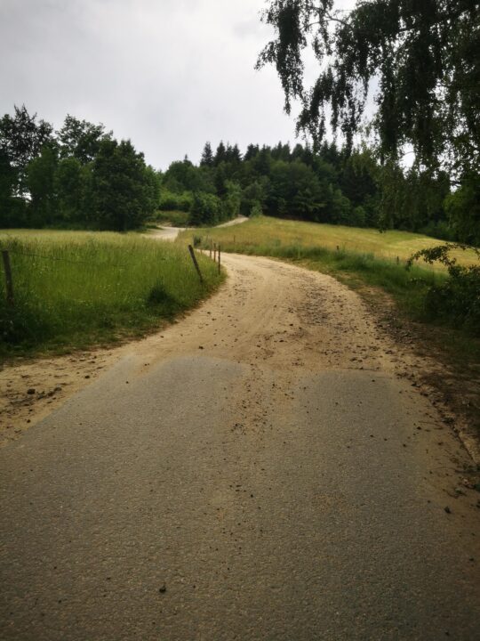 Szlak Tarnów - Wielki Rogacz