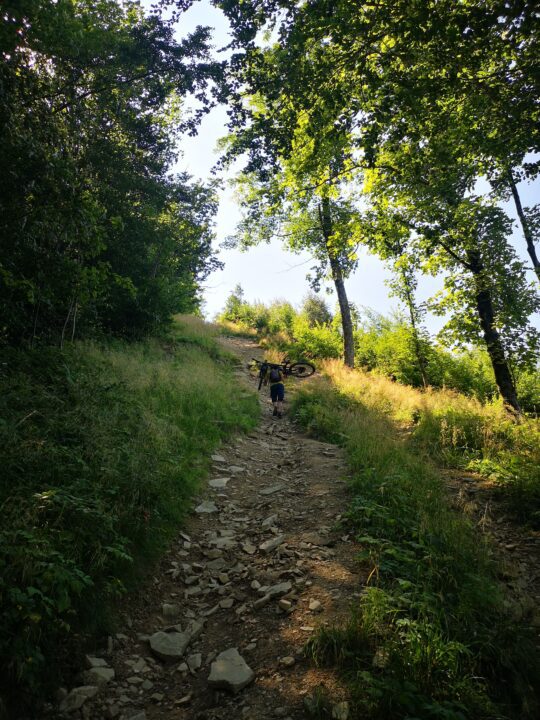 Oszus
